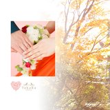 2017年11月19日NaoyaさんMihokoさんウェディングアルバム